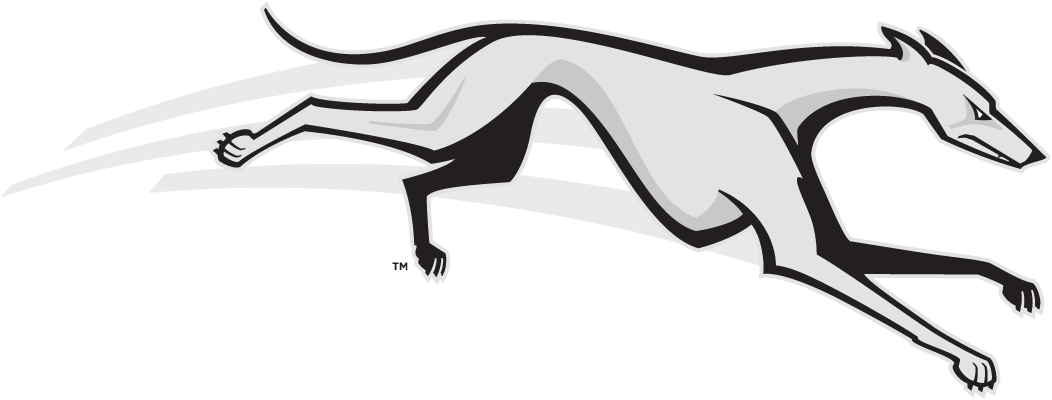 Loyola-Maryland Greyhounds 2002-2010 Partial Logo diy DTF decal sticker